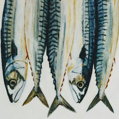 Mackerel