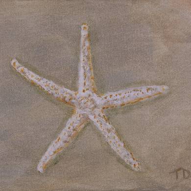 Starfish
