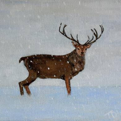Stag In Snow