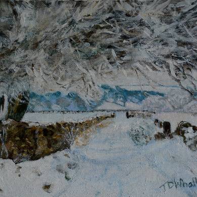 Snowy Lane