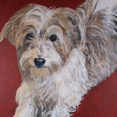 Alfie