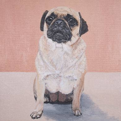 Penelope Pug